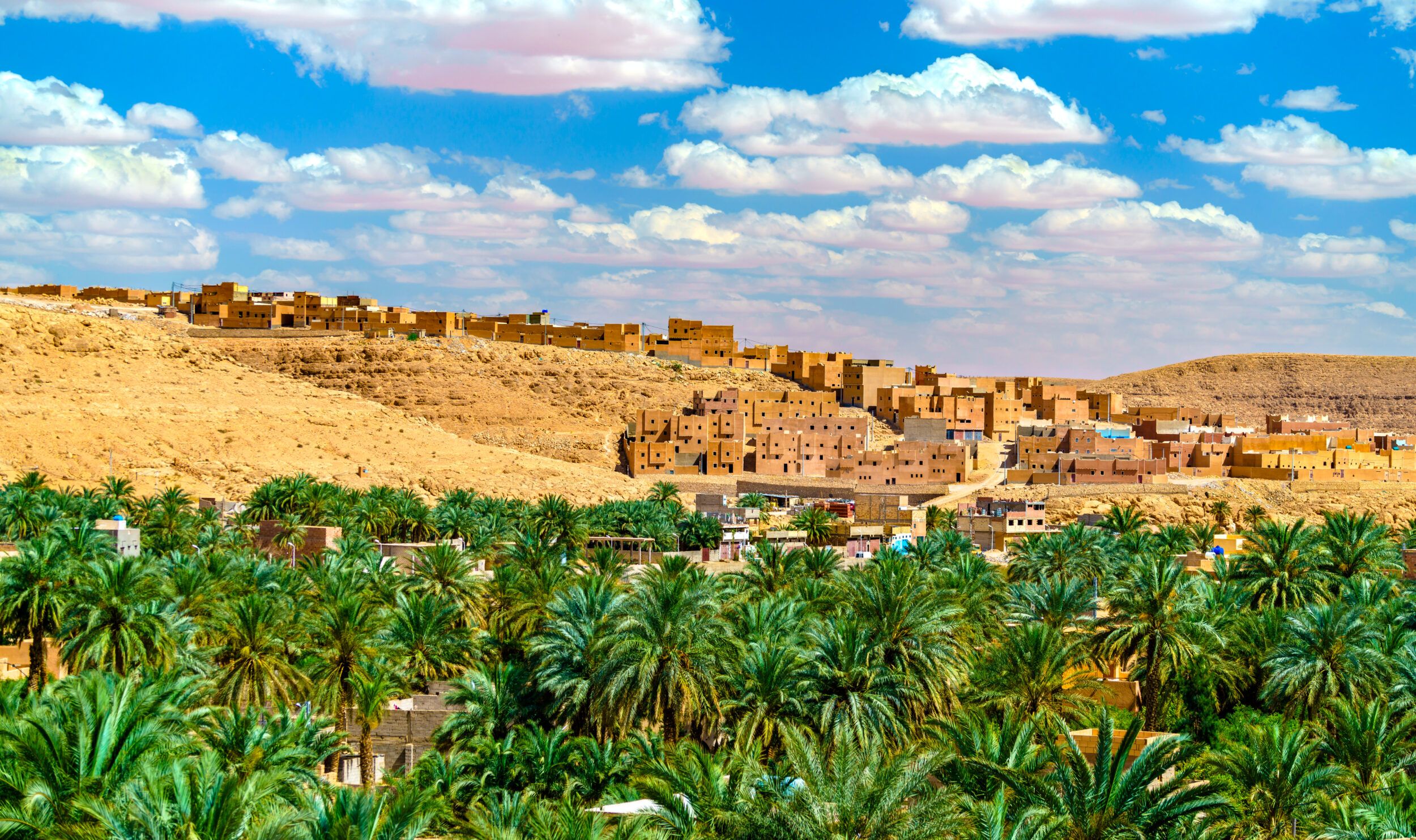 Пейзажи долины и оазисы долины Мзаб